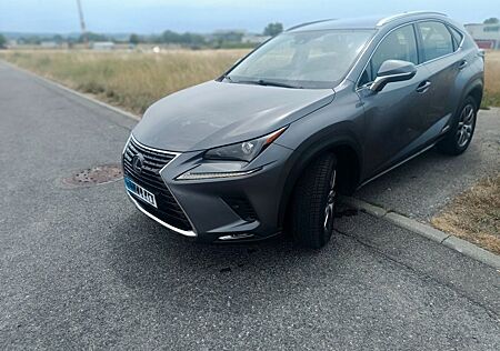 Lexus NX 300 NX 300h Sher gute Zustand
