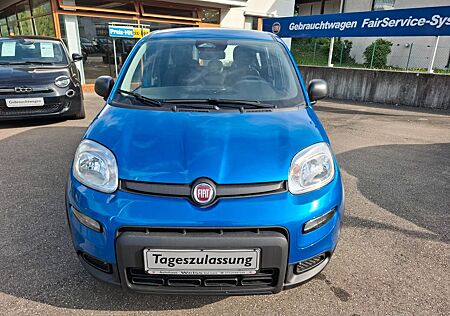 Fiat Panda Pandina Cross