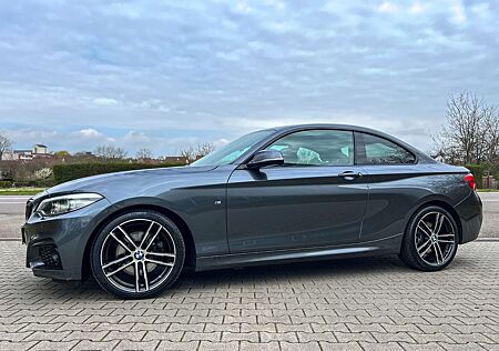 BMW 220i Coupe M Sport |ACC|H&K|KAM|NAVPROF|1hd|DE