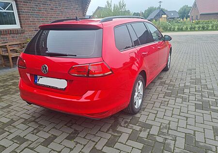 VW Golf Volkswagen 1.6 TDI DSG BMT Comfortline Comfortline