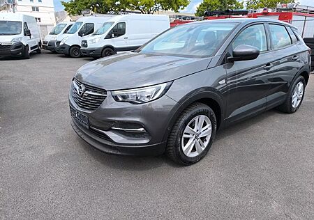 Opel Grandland X Grandland (X), Elegance, R-Kam, PDC
