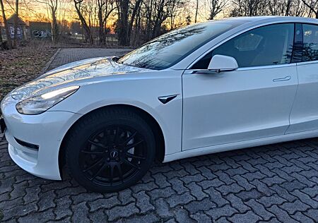 Tesla Model 3 Langstreckenbatterie - Allrad FSD