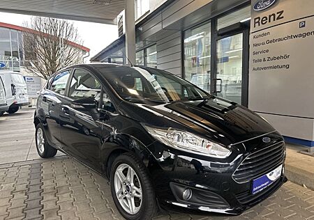 Ford Fiesta 1.0 Titanium - Winter-Paket