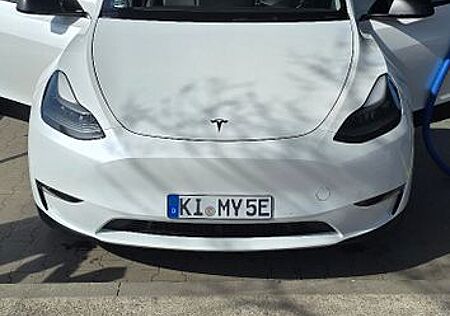 Tesla Model Y Performance Dual Motor AWD Performance