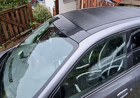 Renault Twingo Elektro Urban Night