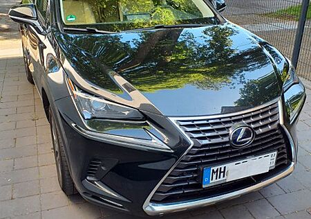 Lexus NX 300 300h Executive Line Executive Line
