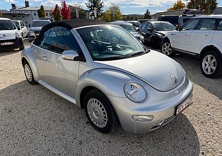 VW New Beetle Volkswagen