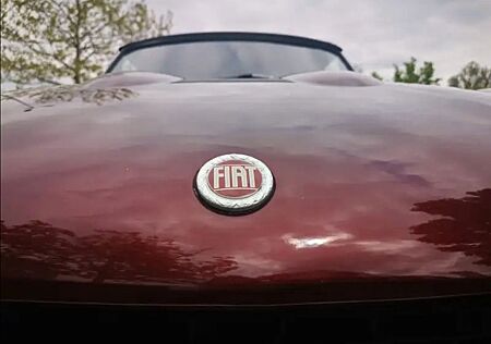 Alfa Romeo Spider Fiat Cabrio 1800 (USA) Roadster