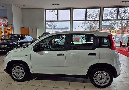 Fiat Panda Base -> TAGESZULASSUNG!!!