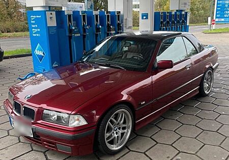 BMW 318i Cabrio PDC Vollleder Hardtop H Zulassung mö