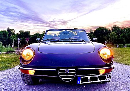 Alfa Romeo Spider