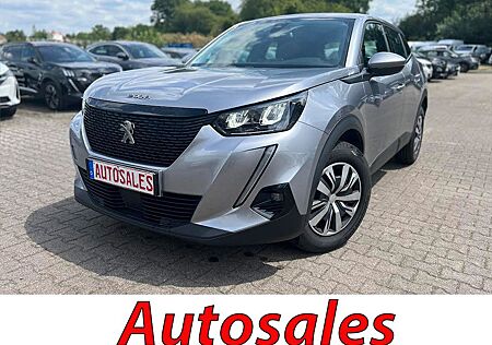 Peugeot 2008 1.5 BlueHDi 110 Active Navi,Kamera,LED