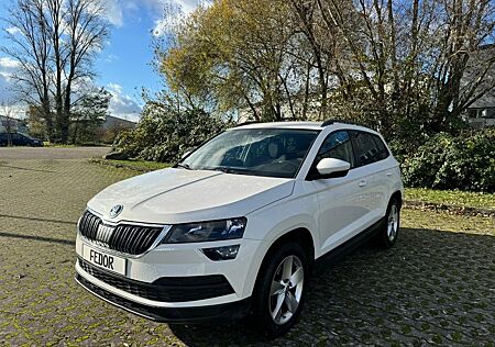 Skoda Karoq Ambition Aut Navi Camera