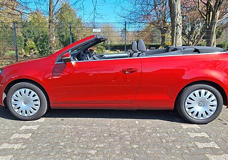 VW Golf Volkswagen 1.4 TSI 92kW BlueMotion Tech. Cabriolet -