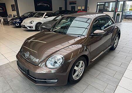 VW Beetle Volkswagen Lim. Design