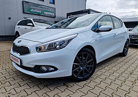 Kia Cee'd / Ceed 1.4 Edition Alufelgen