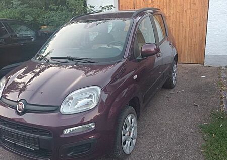 Fiat New Panda 0.9 8V TwinAir TREKKING Natural Po...
