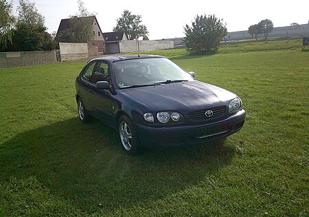 Toyota Corolla linea sol