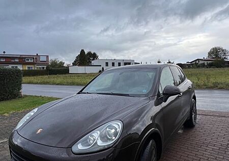 Porsche Cayenne Diesel Platinum Edition Platinum Edition