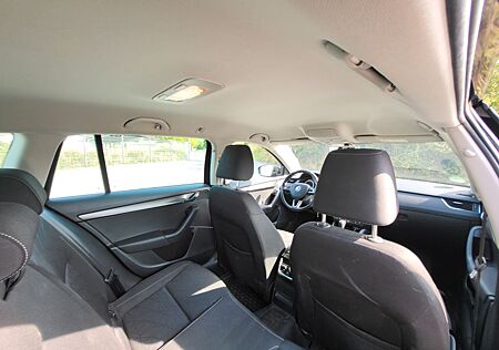 Skoda Octavia 2.0 TDI DSG 4x4