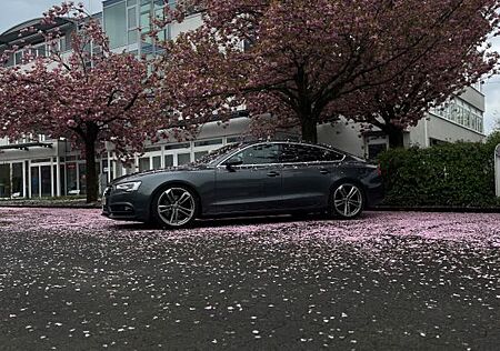 Audi A5 Sportback 3.0 TDI 245PS S-Line quattro