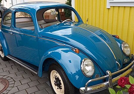VW Käfer Volkswagen