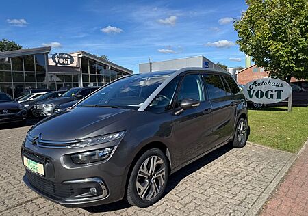 Citroën C4 Spacetourer Grand C4 Picasso/Spacetourer Selection KAMERA