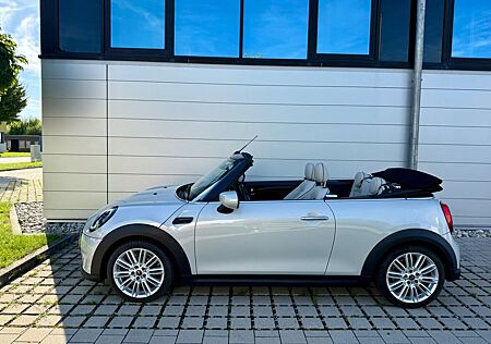 Mini Cooper Cabrio Autom. Yours/Leder/Navi/Head