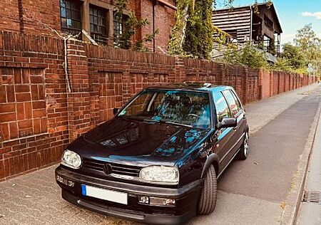 VW Golf Volkswagen 2.9 VR6 Syncro VR6 - Colour Concept