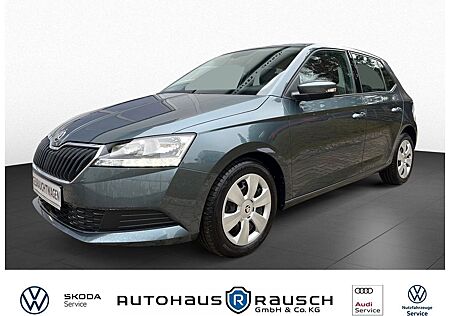 Skoda Fabia Ambition #Sitzheizung #Tempomat
