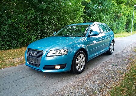 Audi A3 2.0 TDI (DPF) Attraction Sportback ...