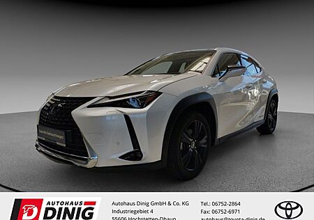 Lexus UX 250h 250 h HUD El. Panodach Navi 360 Kamera M