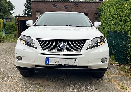 Lexus RX 450 RX 450h Executive Line, SHD, AHK, Navi, Kamera,