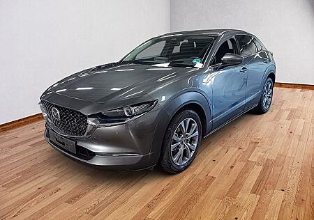 Mazda CX-30 SKYACTIV-X *MATRIX*KAMERA*ACC*BOSE*360