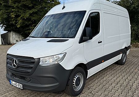 Mercedes-Benz Sprinter III Kasten 317 RWD