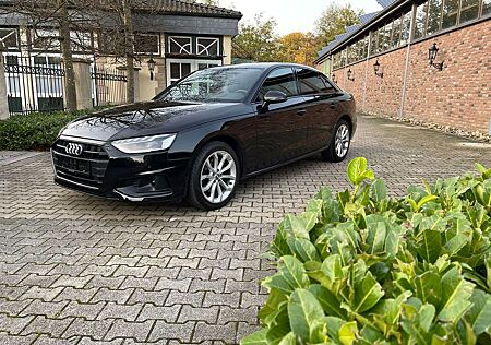 Audi A4 40 TDI advanced Sitzhei Leder Multi Freispr P