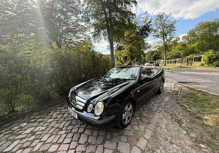Mercedes-Benz CLK 230 Cabrio Elegance - Automatik
