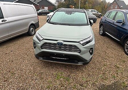 Toyota RAV 4 RAV4 Executive Hybrid/4x4/Panorama/360Kame