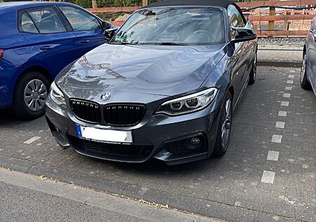 BMW 220i Cabrio M Sport, Radio Professional, Harman