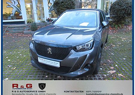 Peugeot 2008 Active Pack PT130,Navi,LM,R-Kamera,NSW,SHZ