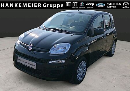 Fiat Panda Pandina ICON Hybrid 1.0 GSE-Klima*Bluetoot