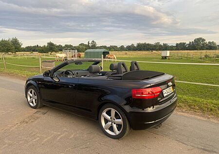 Audi A3 1.9 TDI S line Cabriolet S line