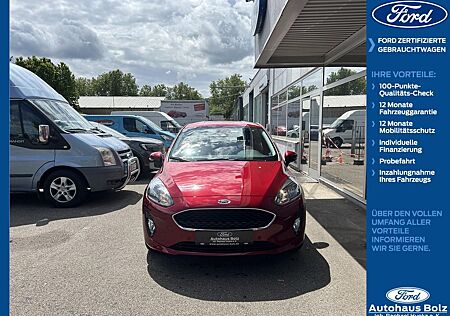 Ford Fiesta C&C - Automatik - Navi Carplay - Winter P