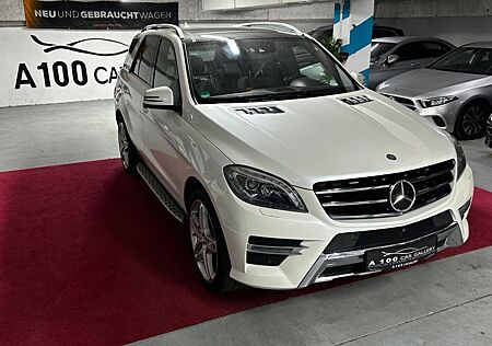 Mercedes-Benz ML 500 4x4Offroad*AHK*BlueEfficiency*B&O-Sound*