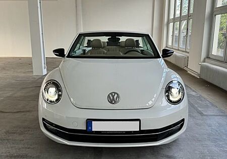 VW New Beetle Volkswagen Beetle Turbo