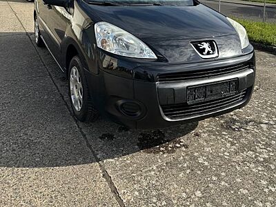 Peugeot Partner Tepee 1.6 Benzin, TÜV, Batterie neu