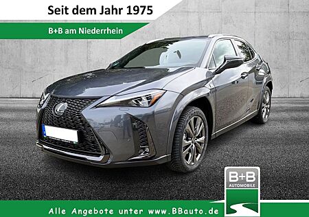 Lexus UX 250H F Sport Leder Kamera SHZ