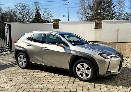Lexus UX 200 Launch Edition Launch Edition
