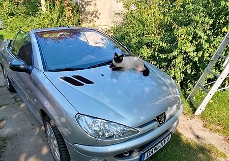 Peugeot 206 CC Quiksilver 110 Quicksilver