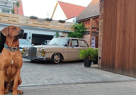 Mercedes-Benz 280 SE